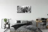 wydruk-na-plotnie-canvas-retro-zebra-140x70-cm-sposob-wykonania-druk-cyfrowy