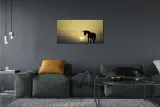 plotno-obraz-pole-zachod-slonca-jednorozec-140x70-format-poziomy