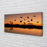 obraz-plotno-lecace-ptaki-zachod-slonca-140x70-stan-nowy