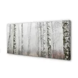 wydruk-na-plotnie-canvas-mgla-brzozy-120x60-cm