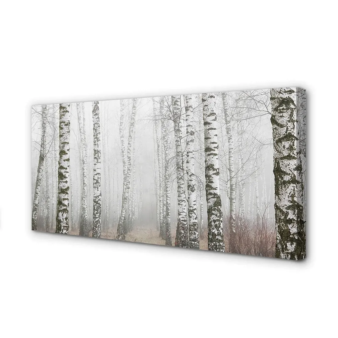 wydruk-na-plotnie-canvas-mgla-brzozy-120x60-cm