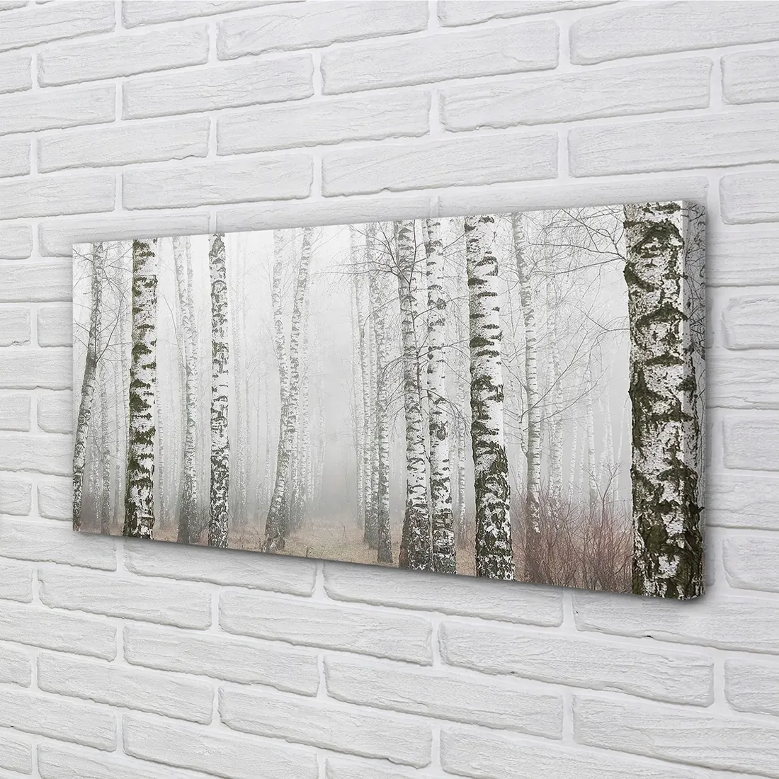 wydruk-na-plotnie-canvas-mgla-brzozy-120x60-cm-stan-nowy