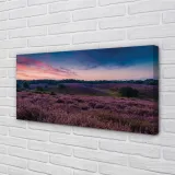 wydruk-na-plotnie-canvas-pole-wrzosy-120x60-cm-stan-nowy