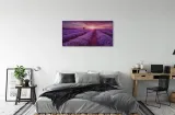 wydruk-na-plotnie-canvas-pole-wrzosy-120x60-cm-sposob-wykonania-druk-cyfrowy