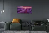 wydruk-na-plotnie-canvas-pole-wrzosy-120x60-cm-format-poziomy