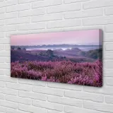 wydruk-na-plotnie-canvas-pole-wrzosy-120x60-cm-stan-nowy