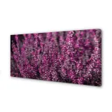 wydruk-na-plotnie-canvas-pole-wrzosy-120x60-cm