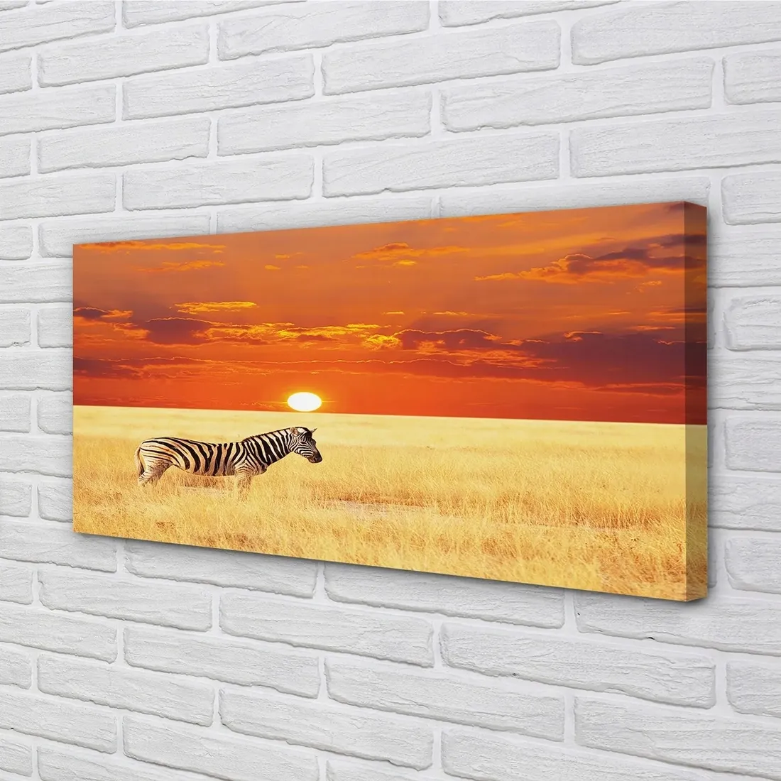 obraz-na-plotnie-zebra-pole-zachod-slonca-120x60-stan-nowy