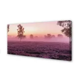 wydruk-na-plotnie-canvas-pole-wrzosy-120x60-cm