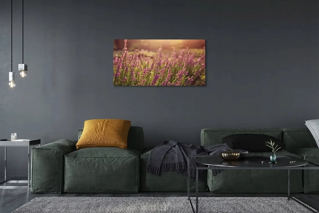 wydruk-na-plotnie-canvas-wrzosy-pole-120x60-cm