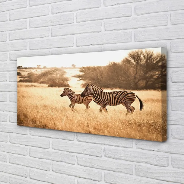 obraz-na-plotnie-zebra-pole-zachod-slonca-120x60-stan-nowy