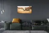 obraz-na-plotnie-zebra-pole-zachod-slonca-120x60-format-poziomy