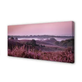 wydruk-na-plotnie-canvas-pole-wrzosy-100x50-cm