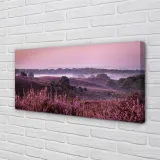 wydruk-na-plotnie-canvas-pole-wrzosy-100x50-cm-stan-nowy