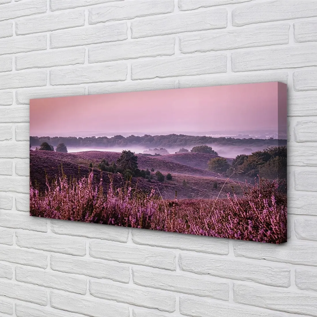 wydruk-na-plotnie-canvas-pole-wrzosy-100x50-cm-stan-nowy