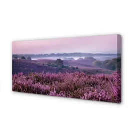 wydruk-na-plotnie-canvas-pole-wrzosy-100x50-cm