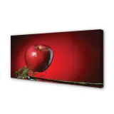 wydruk-na-plotnie-canvas-jablko-woda-100x50-cm