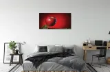wydruk-na-plotnie-canvas-jablko-woda-100x50-cm-sposob-wykonania-druk-cyfrowy