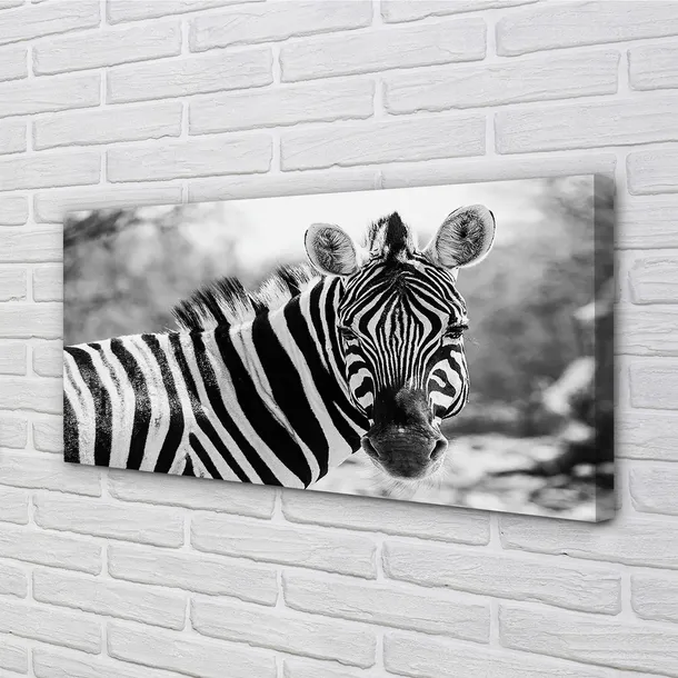 wydruk-na-plotnie-canvas-retro-zebra-100x50-cm-stan-nowy