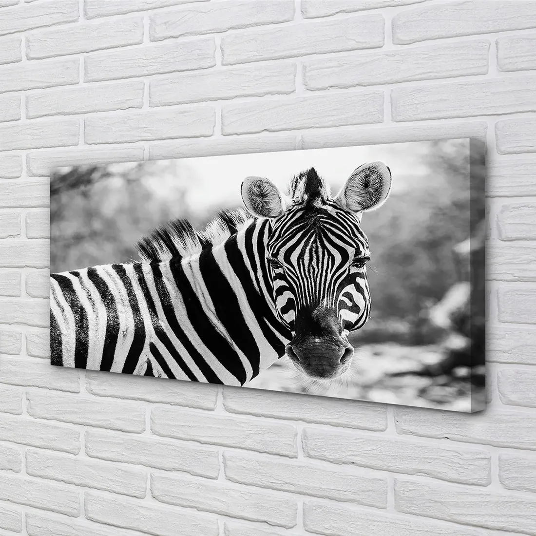 wydruk-na-plotnie-canvas-retro-zebra-100x50-cm-stan-nowy