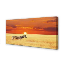 obraz-na-plotnie-zebra-pole-zachod-slonca-100x50