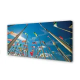wydruk-na-plotnie-canvas-rozne-flagi-100x50-cm