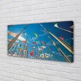 wydruk-na-plotnie-canvas-rozne-flagi-100x50-cm-stan-nowy