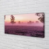 wydruk-na-plotnie-canvas-pole-wrzosy-100x50-cm-stan-nowy