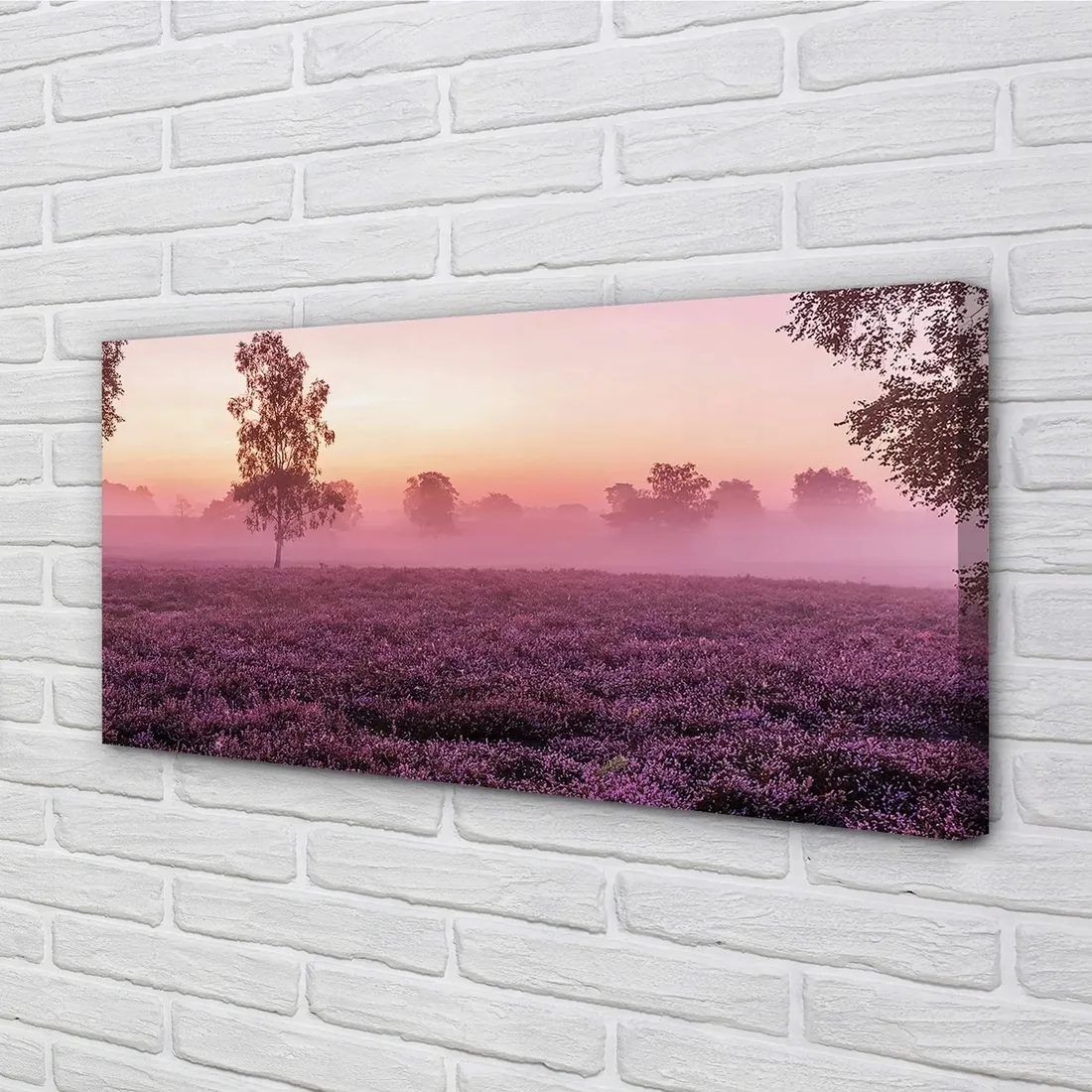 wydruk-na-plotnie-canvas-pole-wrzosy-100x50-cm-stan-nowy