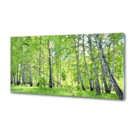 panel-dekor-szklo-las-brzozowy-100x50-cm-klej
