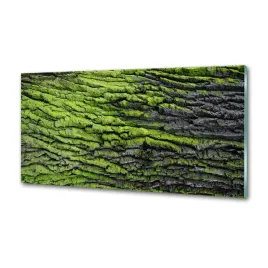 panel-dekor-szklo-kora-drzewa-100x50-cm-klej