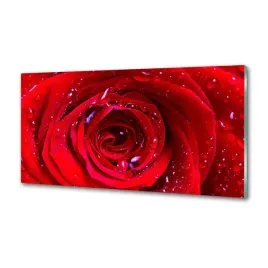panel-dekor-szklo-kwiat-rozy-100x50-cm-klej