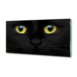 panel-dekor-szklo-kocie-oczy-100x50-cm-klej