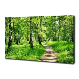 duzy-foto-obraz-na-plotnie-brzozowy-las-100x70-cm