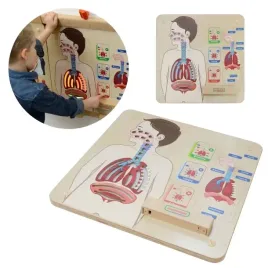 masterkidz-tablica-edukacyjna-uklad-oddechowy-montessori