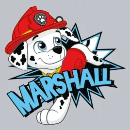 magiczny-recznik-do-rak-30x30cm-paw-patrol-marshal