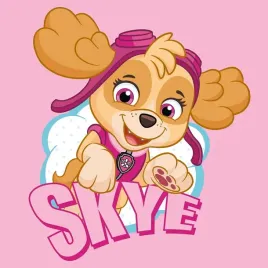 magiczny-recznik-do-rak-30x30cm-paw-patrol-sky