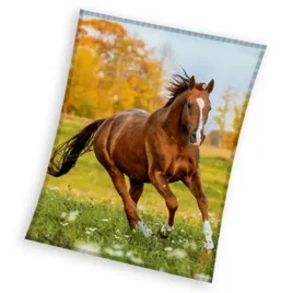 cieply-duzy-koc-150x200-mlodziezowy-kon-na-lace