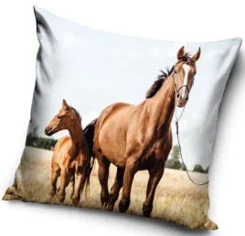 poszewka-velvetowa-na-jaska-40x40-mieciutka-konie-kon-koniki-kasztanka