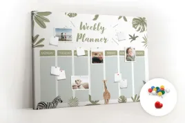 tablica-korkowa-szkolna-pinezki-safari-planer