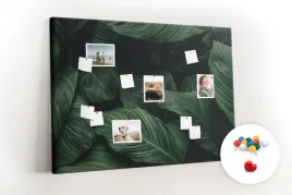tablica-korkowa-dla-dziecka-tropikalna-monstera