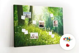 tablica-korek-dekoracyjna-pinezki-natura-wiosenna