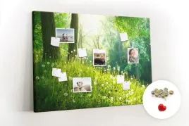 tablica-korkowa-duza-xxl-pinezki-natura-wiosenna