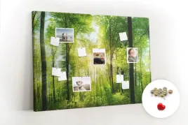 tablica-do-pokoju-dziecka-natura-las-drzewa