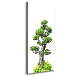 foto-obraz-na-plotnie-drzewo-bonsai-50x125-cm