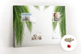 tablica-korkowa-pinezki-gratis-liscie-palma-natura