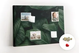 duza-tablica-pinezki-do-korka-tropikalna-monstera