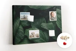 duza-tablica-korkowa-szkolna-tropikalna-monstera