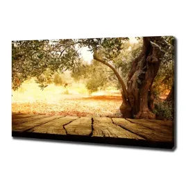 foto-obraz-na-plotnie-drzewo-oliwne-100x70-cm