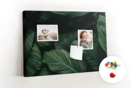 tablica-pinezki-do-korka-60x40-tropikalna-monstera